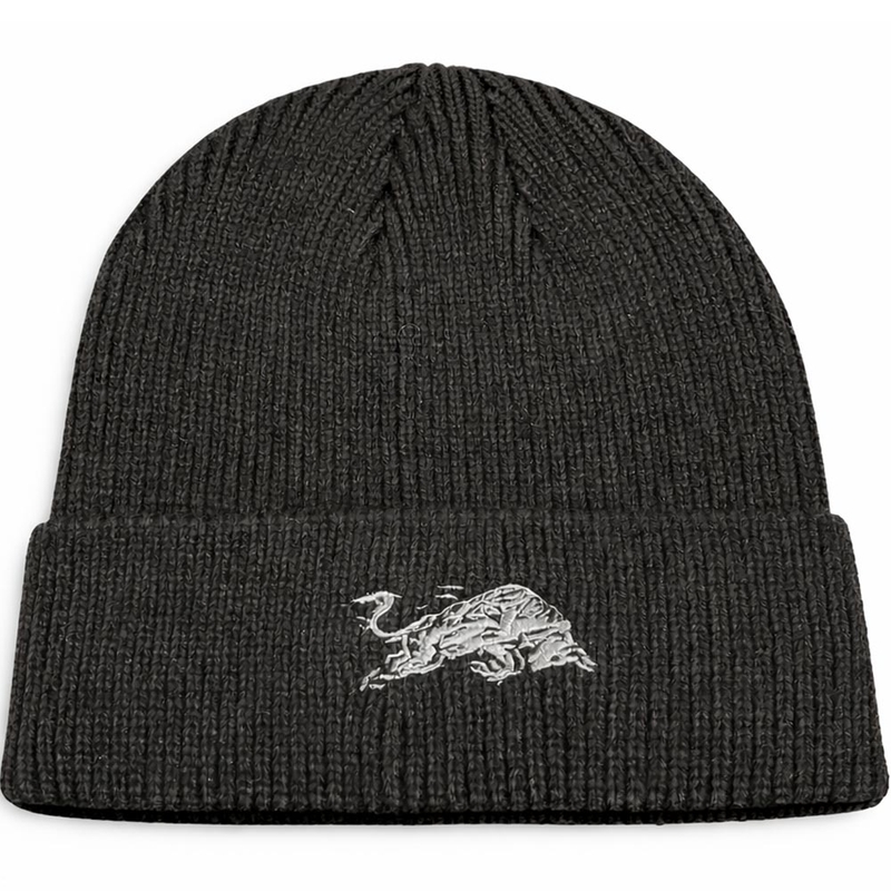 Čepice Red Bull Racing Paddock Beanie černá